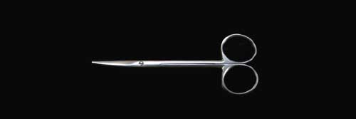 �ی^��ș��́i�܂邪�����񂩂���Ƃ��j