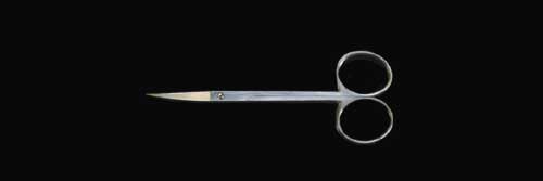 ��ș��́i���񂩂���Ƃ��j