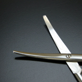 �ی^��ș��́i�܂邪�����񂩂���Ƃ��j