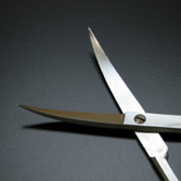 ��ș��́i���񂩂���Ƃ��j