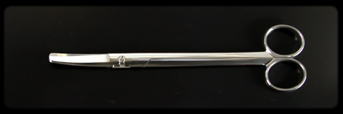 �q�{���́i�����イ����Ƃ��j