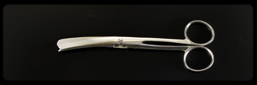 �Ցљ��́i������������Ƃ��j