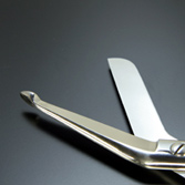 �M�u�X���́i���Ԃ�����Ƃ��j