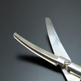 �q�{���́i�����イ����Ƃ��j